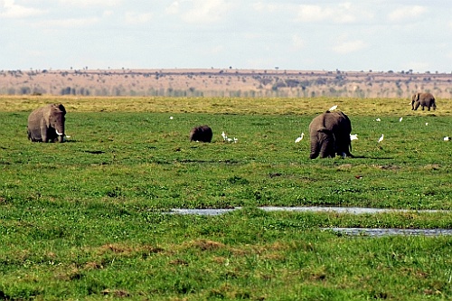 Kenia (255)